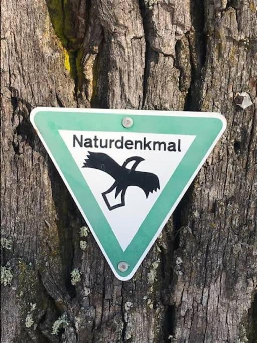 Altes Grabenhoefchen - 5 Sterne Ferienhaus Sondheim Kültér fotó